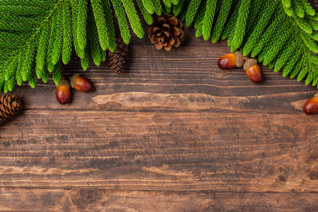 Christmas pine tree and pine cone on woooden table backgroundの写真素材