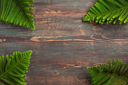 Christmas pine branch on wooden table backgroundの写真素材