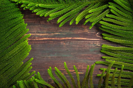 Christmas pine branch on wooden table backgroundの写真素材