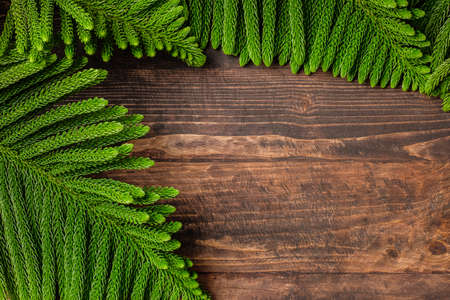 Christmas pine branch on wooden table backgroundの写真素材
