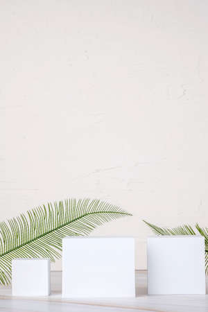 Product display block stand with nature element with copy space with clean styleの写真素材