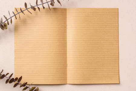 blank notebook with eucalyptus mock up on  pastel peach table