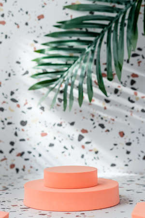 peach geometric pedestal on terrazzo background with summer sunlight and green palm leafの写真素材