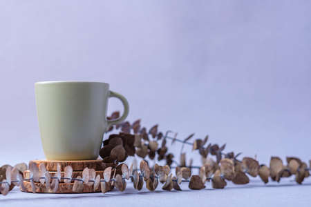 green coffee cup with eucalyptus leaves on pastel violet backgroundの写真素材