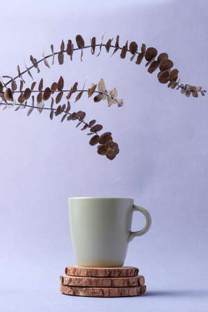 green coffee cup with eucalyptus leaves on pastel violet backgroundの写真素材