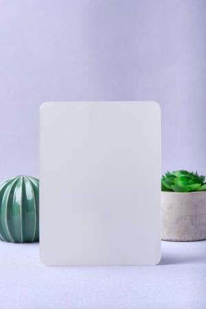 blank paper posert wih cactus on pastel violet backgroundの写真素材