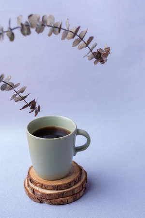 green coffee cup with eucalyptus leaves on pastel violet backgroundの写真素材