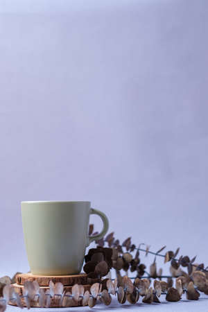 green coffee cup with eucalyptus leaves on pastel violet backgroundの写真素材