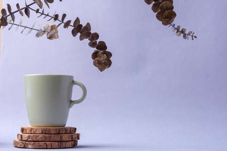 green coffee cup with eucalyptus leaves on pastel violet backgroundの写真素材
