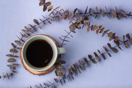 green coffee cup with eucalyptus leaves on pastel violet backgroundの写真素材