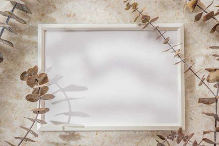 top view blank white photo frame mockup with eucalyptus brancch at peach wallの写真素材