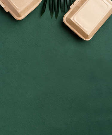 top view Recycle Eco friendly disposable food container made of paper with leaf on green backgroundの写真素材