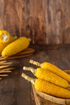 Group of corn cob in tray on wood tabele and wallの写真素材