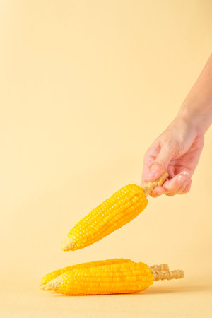 group of corn cob minimal style on pastel yellow backgroundの写真素材
