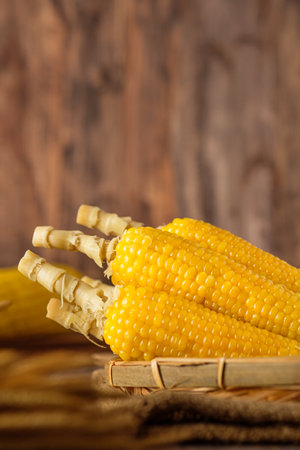 Group of corn cob in tray on wood tabele and wallの写真素材
