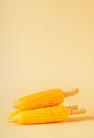 group of corn cob minimal style on pastel yellow backgroundの写真素材