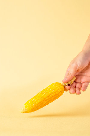 group of corn cob minimal style on pastel yellow backgroundの写真素材