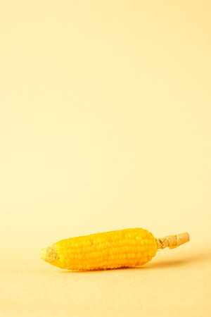 group of corn cob minimal style on pastel yellow backgroundの写真素材