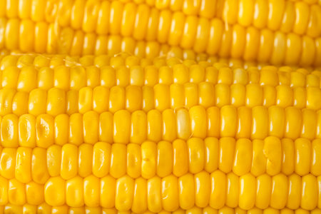 top view  group of corn cob on wood table