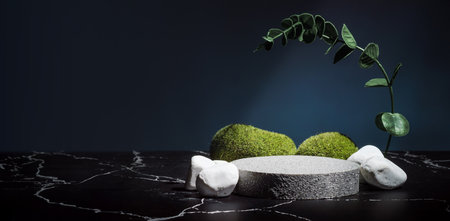 Stone pedestal stage product display background with nature moss on navy color.zen like backdropの写真素材