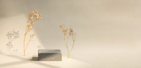 Minimal stone stage product display with sunlight from window and dry flower on cream color backgroundの写真素材