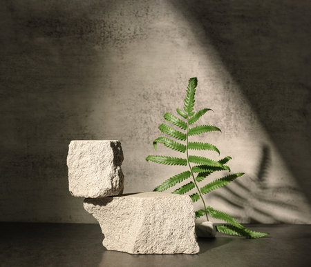 Rough stone and fern with sunlight from window on concrete wall and floor background,Copy space for product displayの写真素材