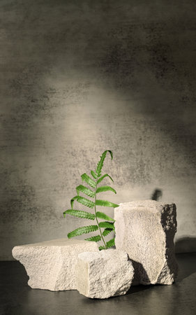 Rough stone and fern with sunlight from window on concrete wall and floor background,Copy space for product displayの写真素材