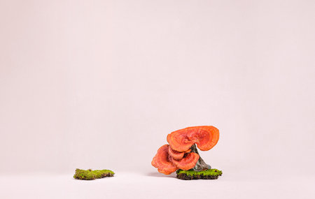 Organic products display. Natural style. wood log  pedestal with green moss on pastel background for cosmetic productsの写真素材