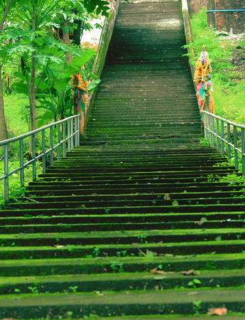 Moss stair
