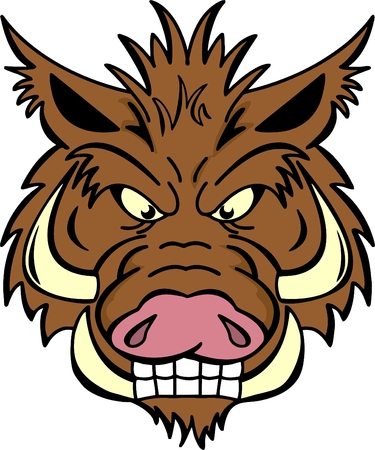 Angry wild boar with very large tusksのイラスト素材