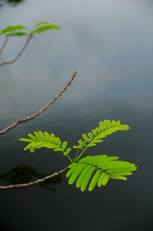 natureの写真素材