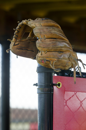 baseball mitt in dugoutの写真素材