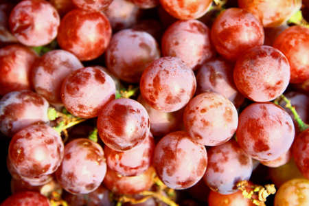 Grapeの写真素材