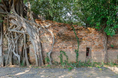 Old monastery in Thailandの写真素材