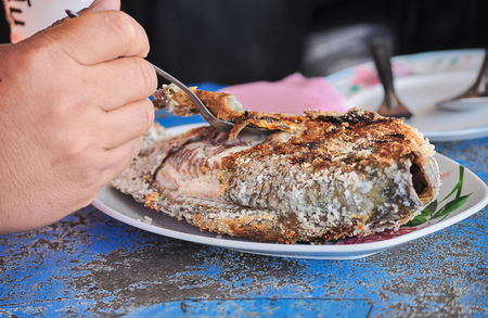 Thailand Fish Grill: Photo by focusing on a specific pointの写真素材