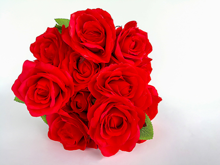 Beautiful red Roses over whiteの写真素材