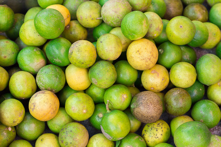Fresh green lemons and limes for makingの写真素材