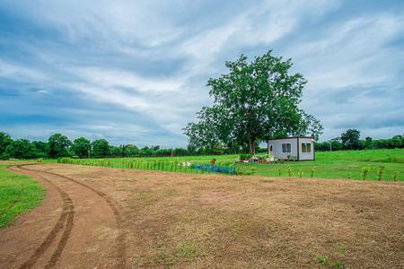House in the tropical rain forest, in Thailandの写真素材