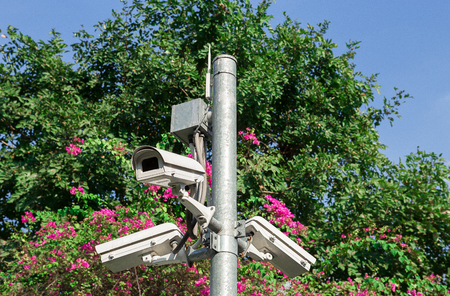 security camera in parkの写真素材
