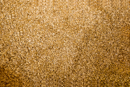 Close up Rice red color at fresh local marketの写真素材