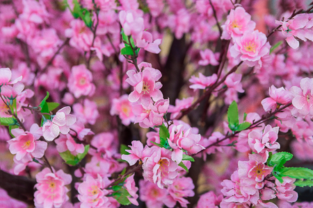 Artificial Sakura flowers  : Photo by focusing on a specific pointの写真素材