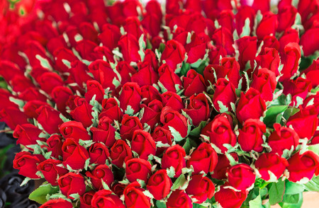 Red roses as a backgroundの写真素材