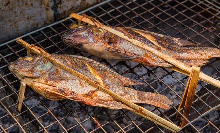Tilapia roastedの写真素材