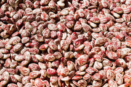 Red beans pattern as backgroundの写真素材
