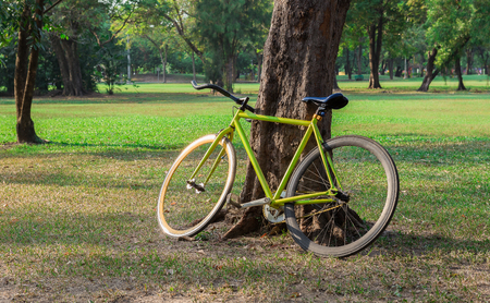 Bike in Parkの写真素材