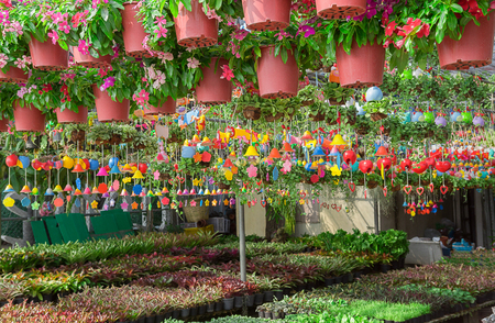 Florist shopの写真素材