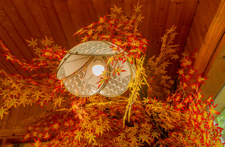 Ceiling Lightsの写真素材