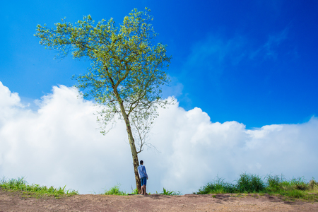man traveler with open arms stands on the alpine meadow delighted with the view of the mountain panorama in front of him. Happy people in nature. Back viewの写真素材