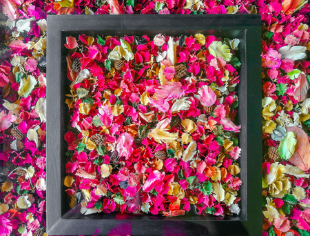 Lilac closeup seamless background. (See more seamless backgrounds in my portfolio)の写真素材