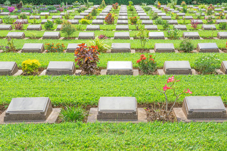 November 20/2016 Kanchanaburi War Cemetery World War 2 in Kanchanaburi, Thailand.のeditorial素材